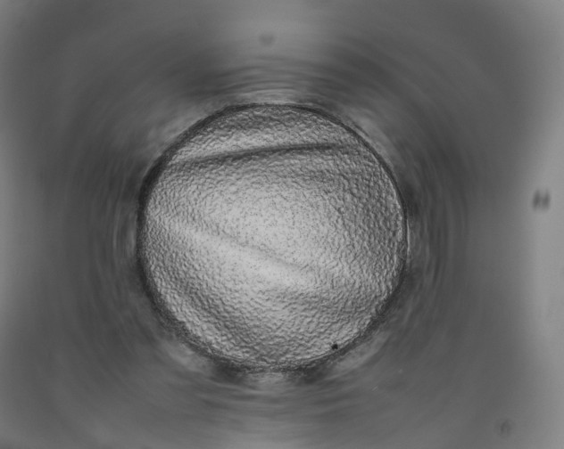 X0000092250301200709281149