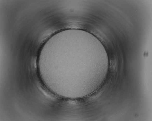 X0000092250302200709281149