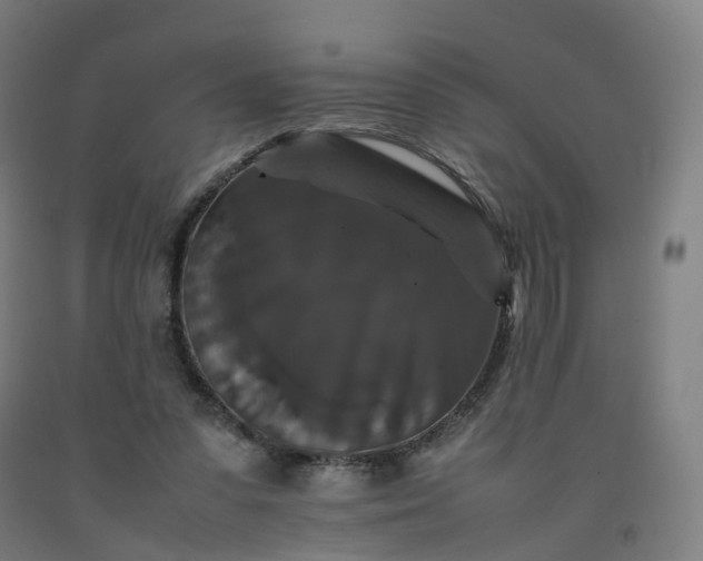 X0000092250303200709281149