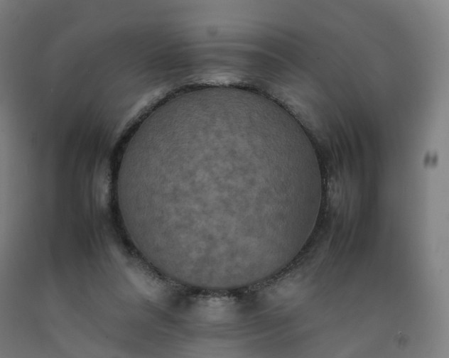 X0000092250304200709281149