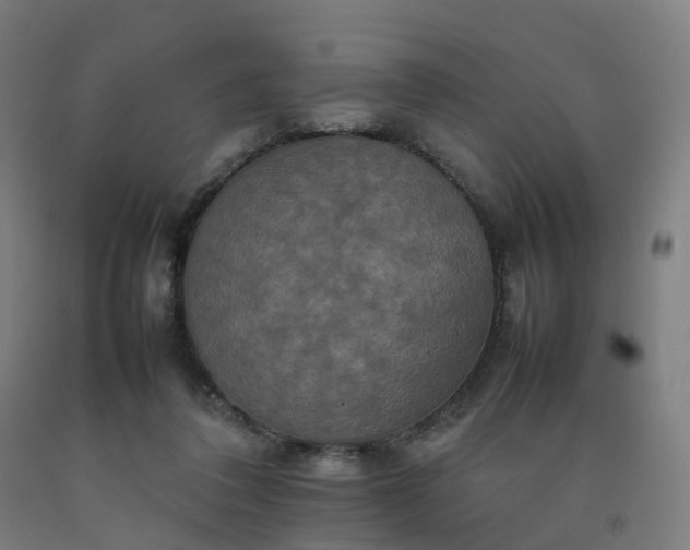 X0000092250308200709281149