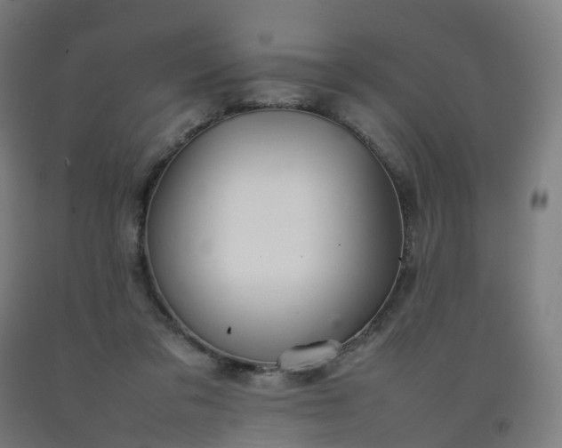 X0000092250309200709281149