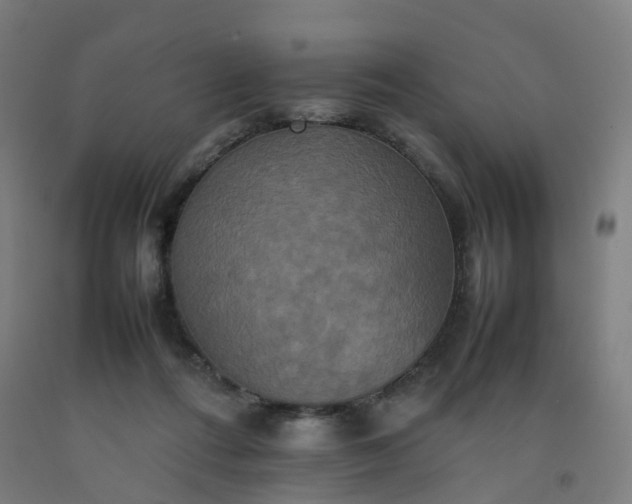 X0000092250312200709281149