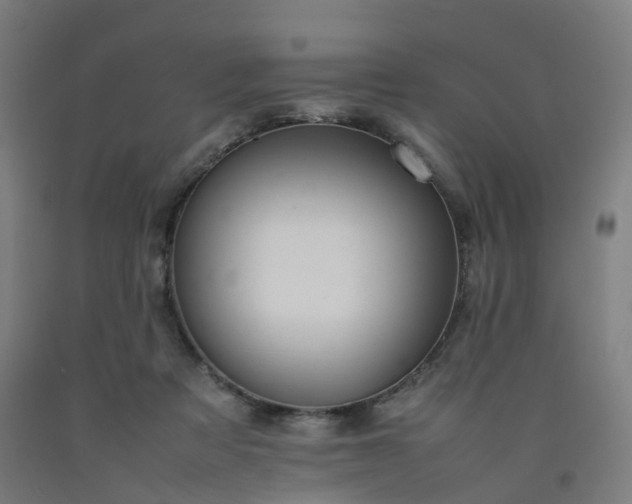 X0000092250313200709281149