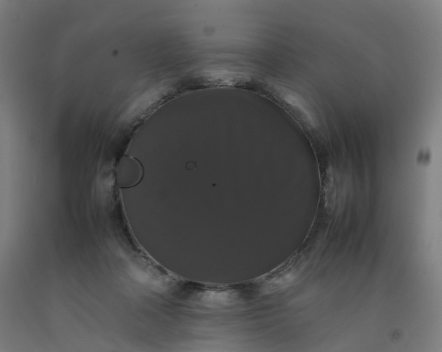 X0000092250314200709281149