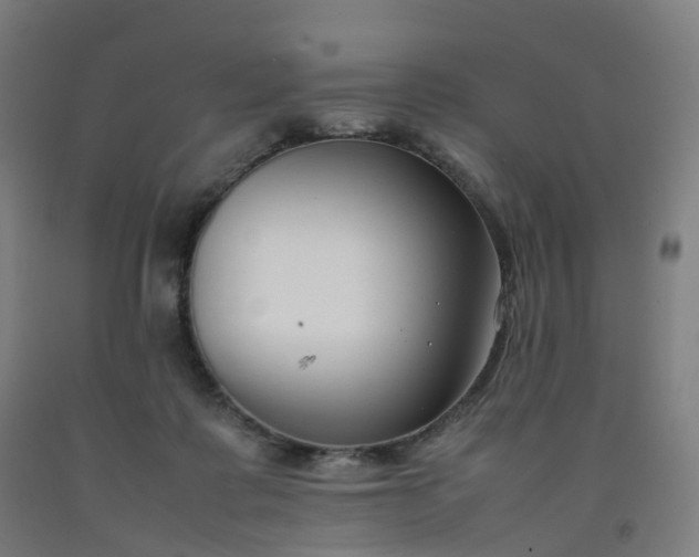 X0000092250315200709281149