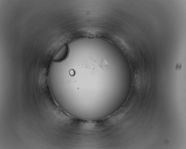 X0000092250318200709281149