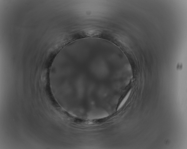 X0000092250319200709281149