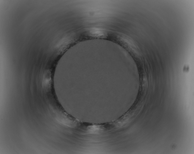 X0000092250320200709281149