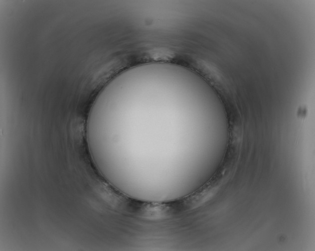 X0000092250321200709281149