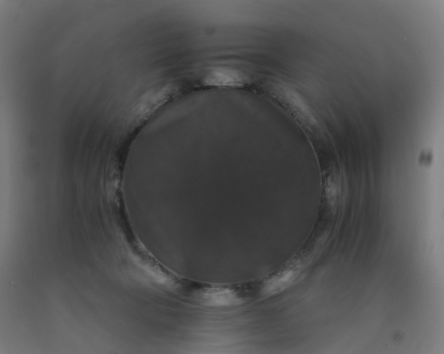 X0000092250322200709281149