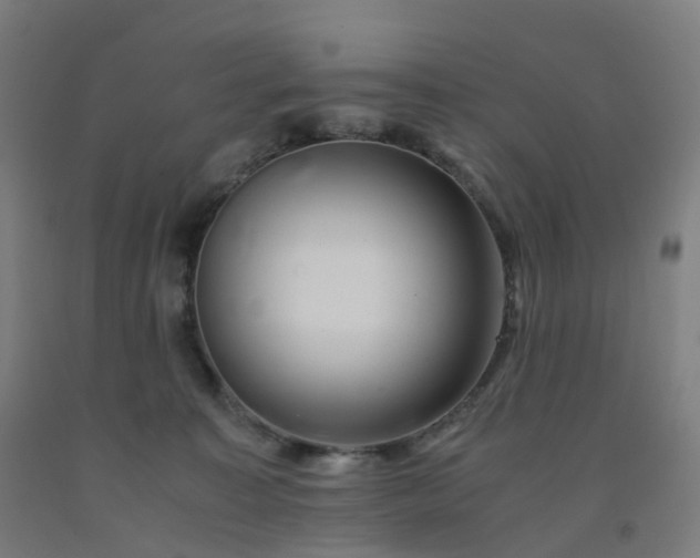 X0000092250323200709281149