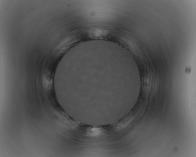 X0000092250324200709281149