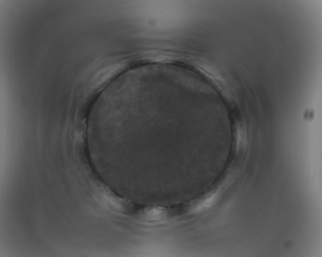 X0000092250325200709281149