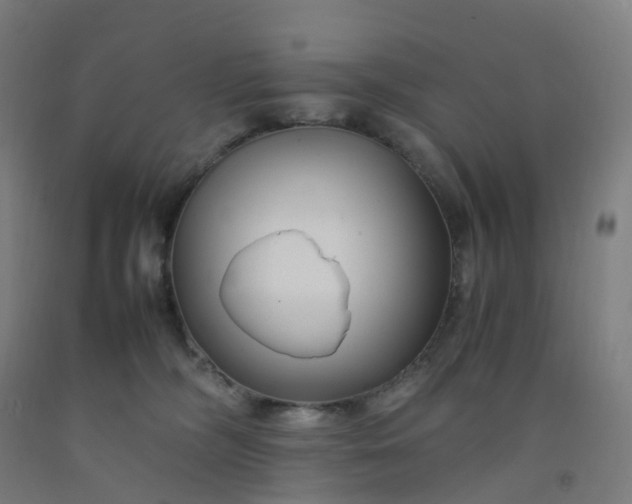 X0000092250326200709281149