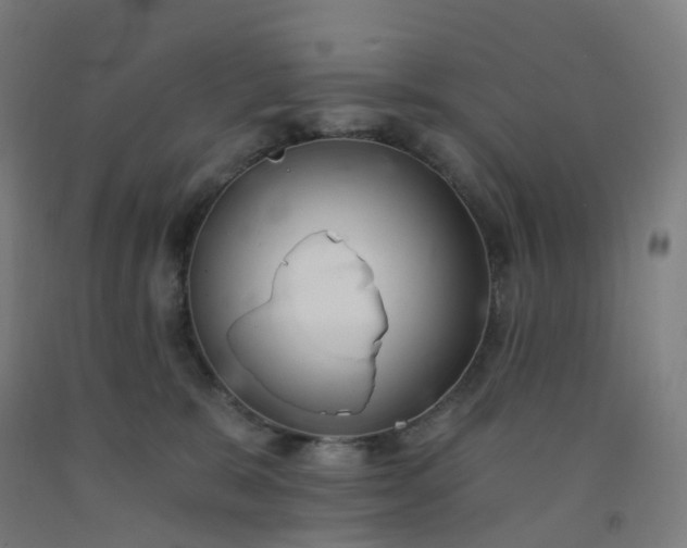 X0000092250327200709281149