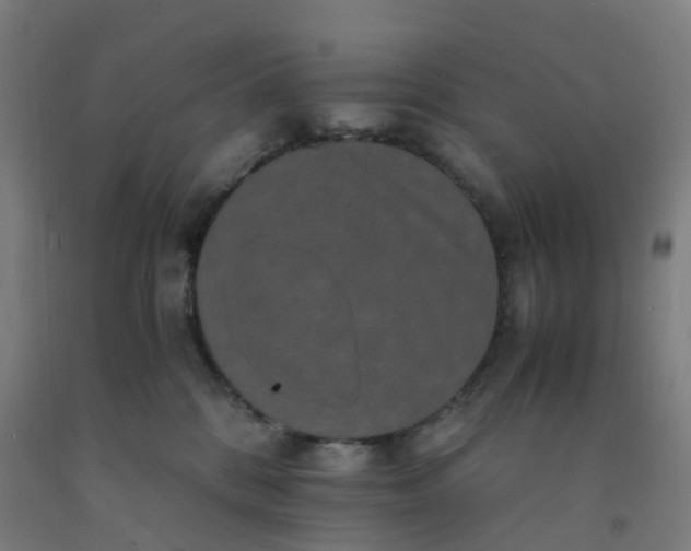 X0000092250328200709281149