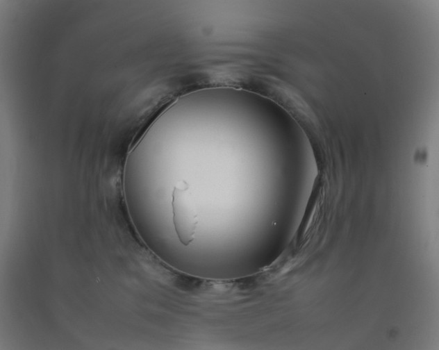 X0000092250329200709281149