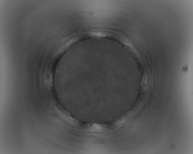 X0000092250330200709281149