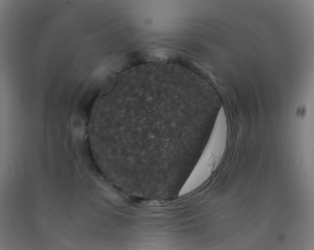 X0000092250331200709281149