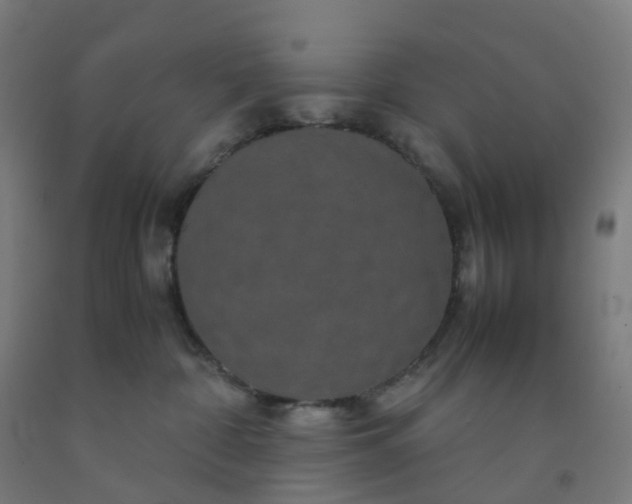 X0000092250332200709281149