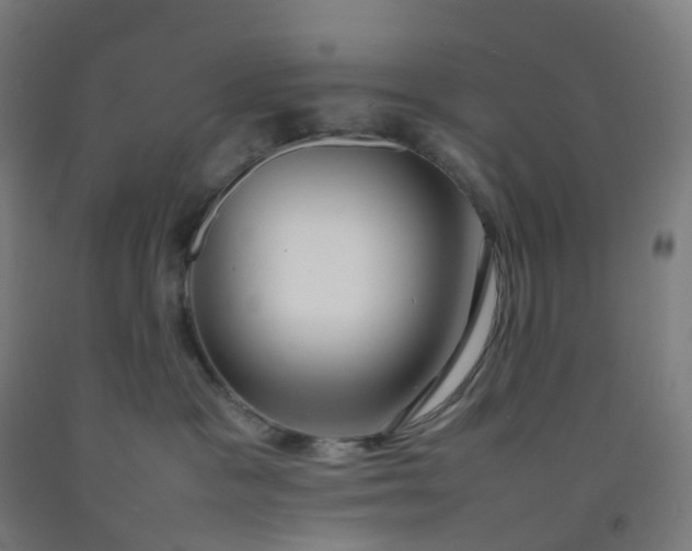 X0000092250333200709281149