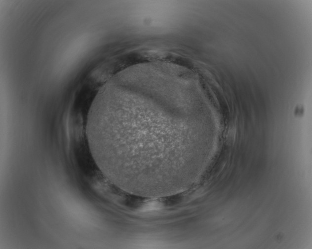 X0000092250335200709281149