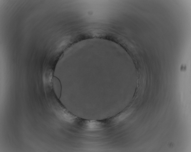 X0000092250336200709281149