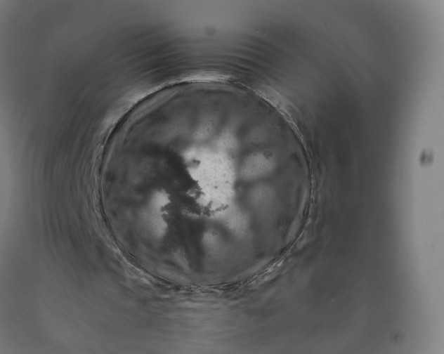 X0000092250337200709281148