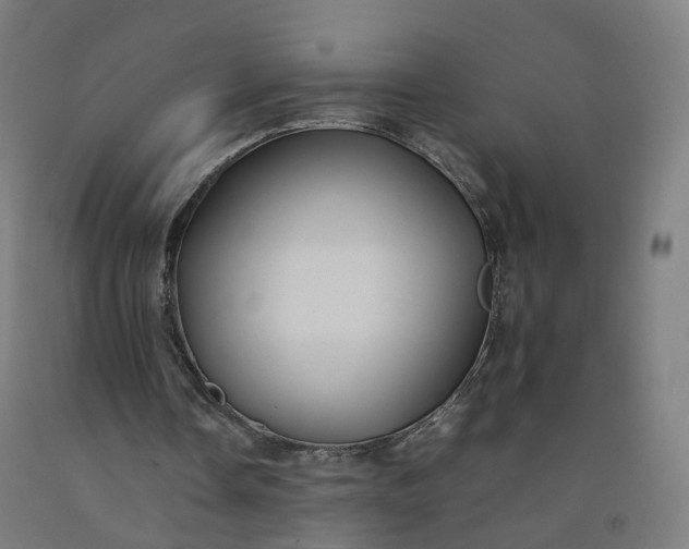 X0000092250338200709281148