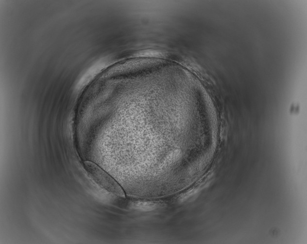 X0000092250341200709281148