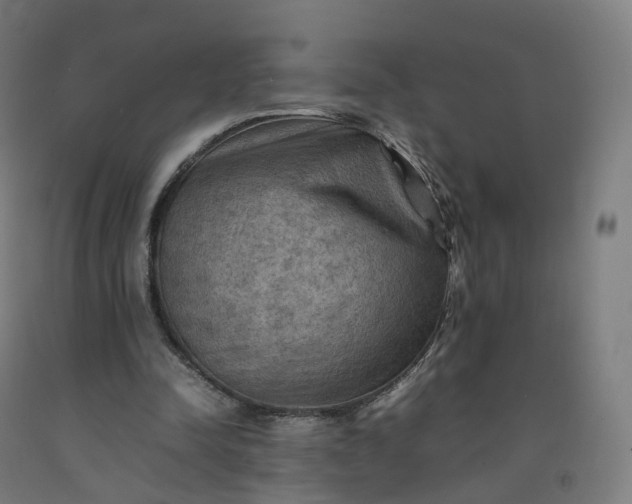 X0000092250342200709281148