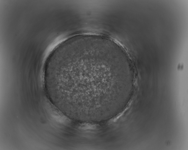 X0000092250343200709281148