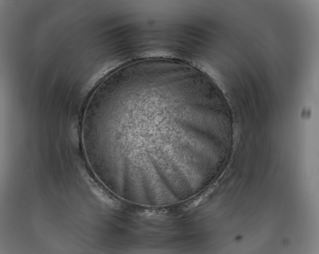 X0000092250345200709281148