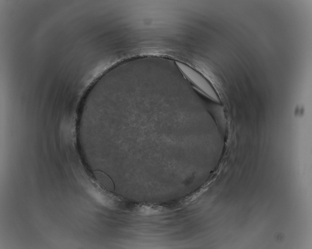 X0000092250346200709281148