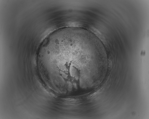 X0000092250347200709281148