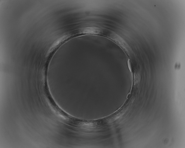 X0000092250349200709281148