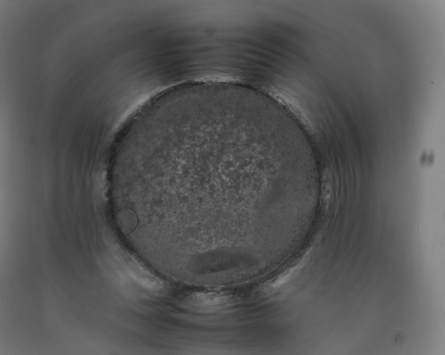 X0000092250351200709281148