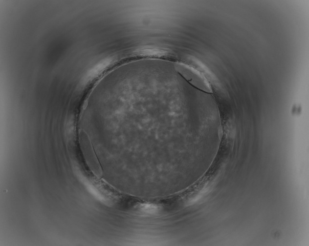 X0000092250352200709281148