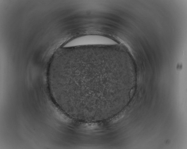 X0000092250353200709281148