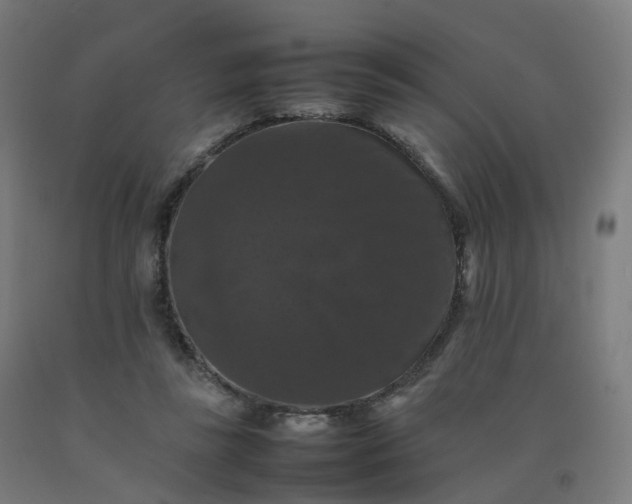 X0000092250355200709281148