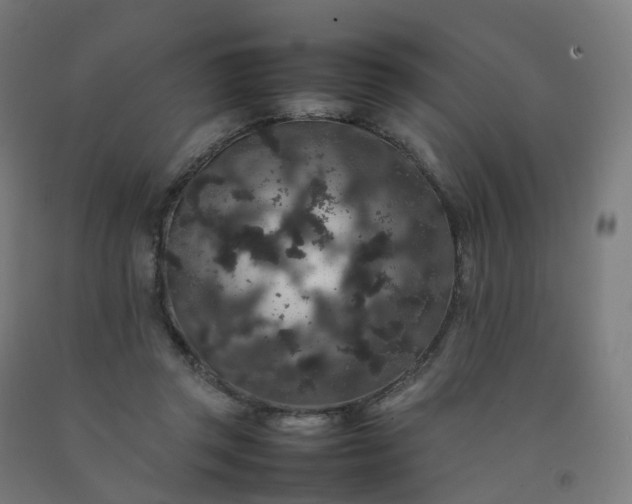 X0000092250357200709281148