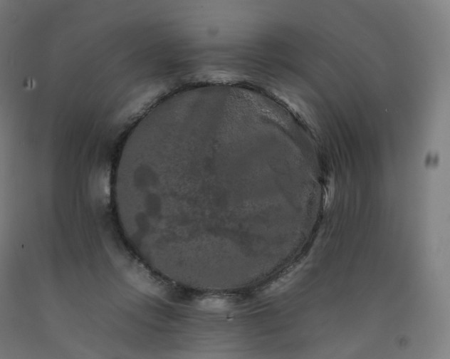 X0000092250358200709281148