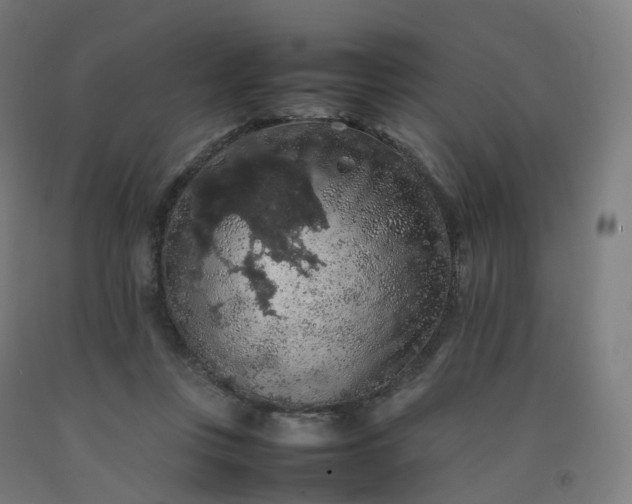 X0000092250359200709281148