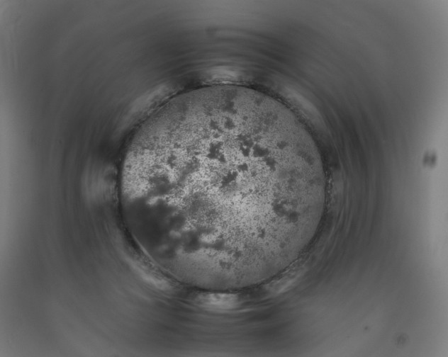 X0000092250361200709281148