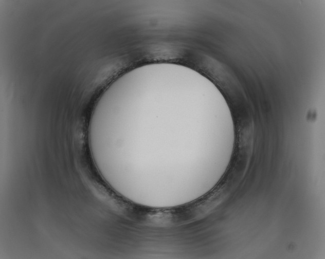 X0000092250362200709281148