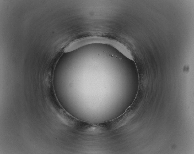 X0000092250364200709281148