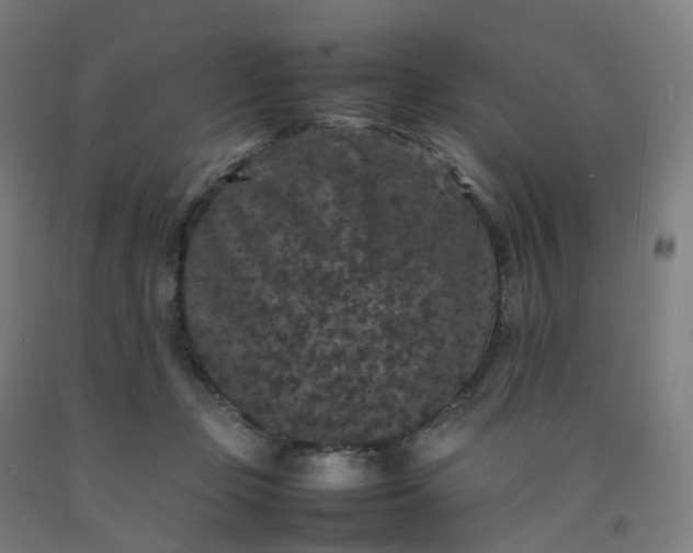 X0000092250365200709281148