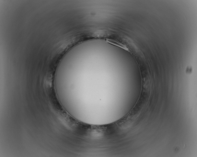 X0000092250368200709281148