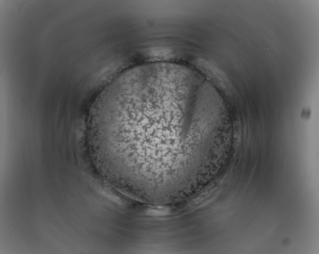 X0000092250369200709281148